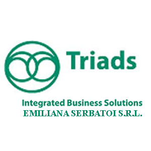TRIADS INTEGRATED BUSINESS SOLUTIONS